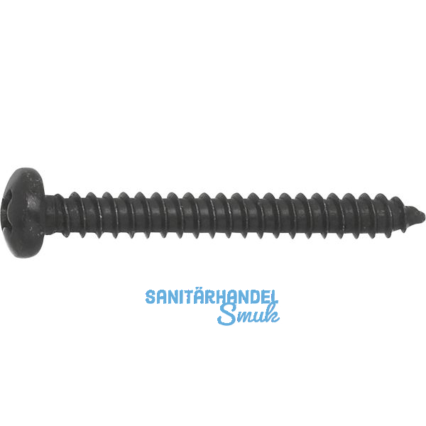 DIN7981C 4.2x 13 PH-Kreuzschlitz verzinkt schwarz Linsen-Blechschraube ~ISO7049