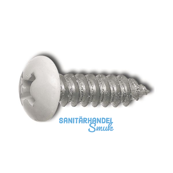 DIN7981C 5.5x 16 PH-Kreuzschlitz Kopf RAL7024 graphitgrau beschichtet ~ISO7049