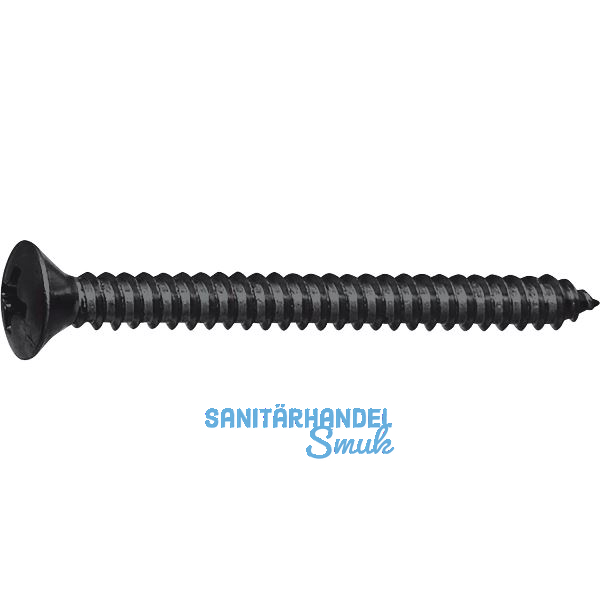 DIN7983C 4.2x 19 PH-Kreuzschlitz verzinkt schwarz Linsen-Blechschraube ~ISO7051