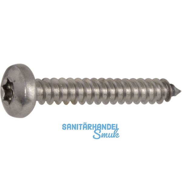 DIN7981C 4.8x 50 Torx25 verzinkt Linsen-Blechschraube ~ISO14585