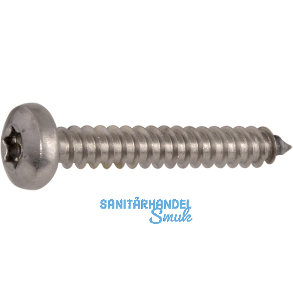 DIN7981C 6.3x 60 Torx30 verzinkt Linsen-Blechschraube ~ISO14585