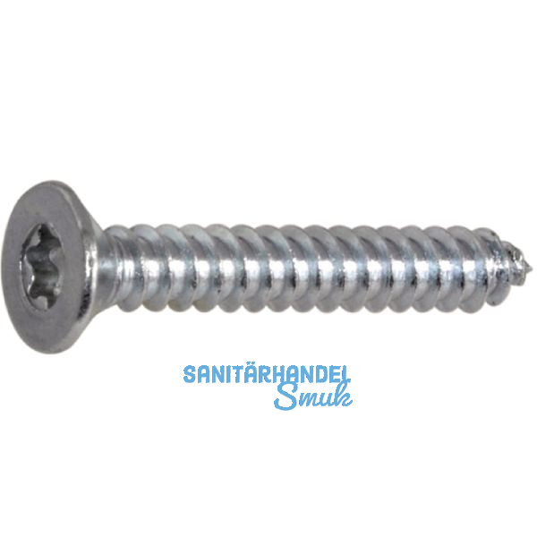 DIN7982C 4.8x 32 Torx25 verzinkt Senkkopf-Blechschraube ~ISO14586