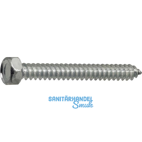 DIN7976C 4.8x 16 verzinkt Sechskantkopf-Blechschraube ~ISO1479