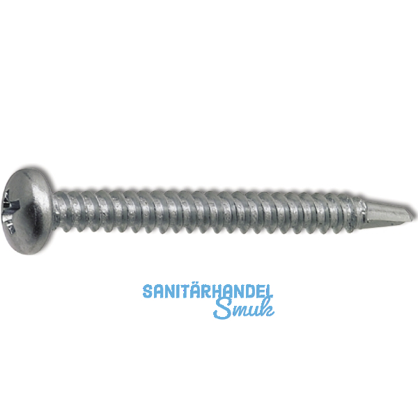 DIN7504N 5.5x 22 Phillips-KS verzinkt Linsen-Bohrschraube ~ISO15481