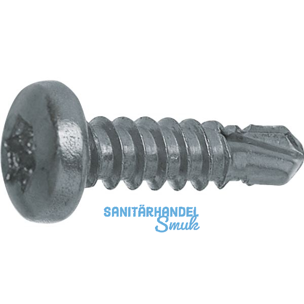 DIN7504N 4.2x 38 Torx20 verzinkt Linsen-Bohrschraube