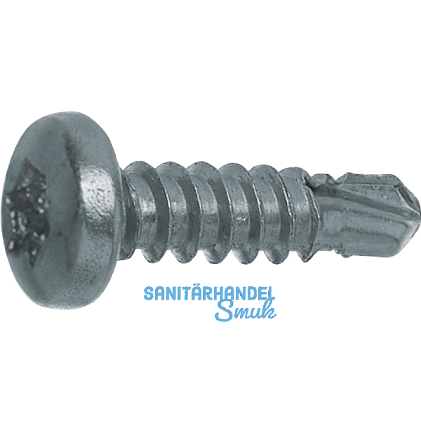 DIN7504N 4.8x 70 Torx25 verzinkt Linsen-Bohrschraube