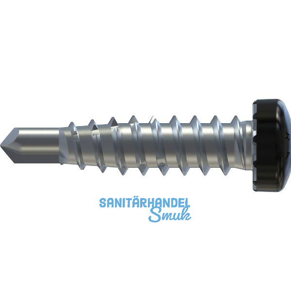 REISSER RP-r-LK-X REFABO Kantteilschraube 4.8x 20 Bimetall A2 - RAL9005