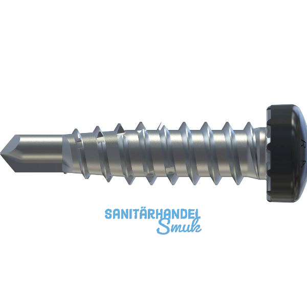 REISSER RP-r-LK-X REFABO Kantteilschraube 4.8x 20 Bimetall A2 - RAL7016