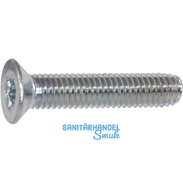 DIN7500ME (MT) M 5X10 Torx 25 verzinkt gewindefurchende Senkschr.