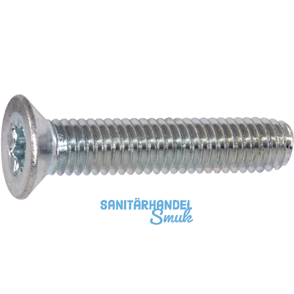 DIN7500ME (MT) M 4x20 Torx 20 verzinkt gewindefurchende Senkschr.