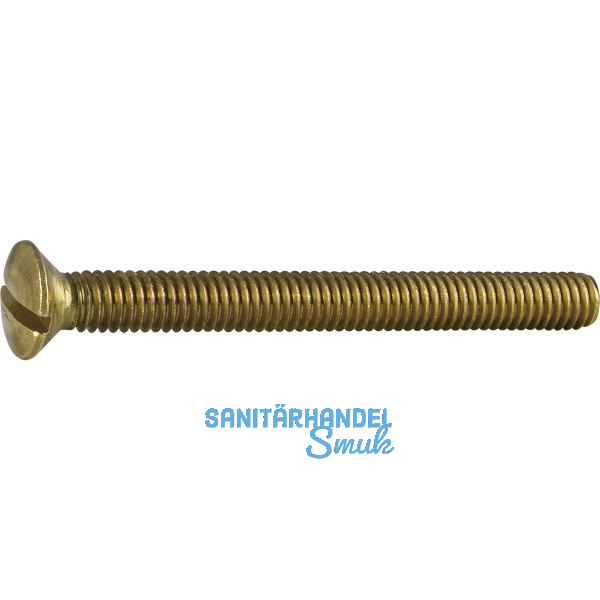 DIN964A M 4X 40 Messing blank Linsenschraube