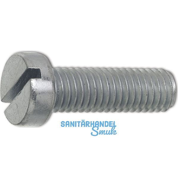 ~ISO1207 4.8 M 2.5x12 verzinkt Zylinderschraube mit Schlitz (DIN84A)