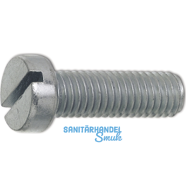 ~ISO1207 4.8 M 2.6x 6 verzinkt Zylinderschraube mit Schlitz (DIN84A)
