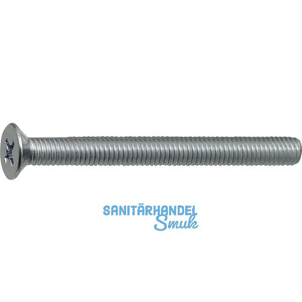 ~ISO7046-1 4.8 M 5x 60 Phillips Kreuzschlitz verzinkt Senkschraube (DIN965A)