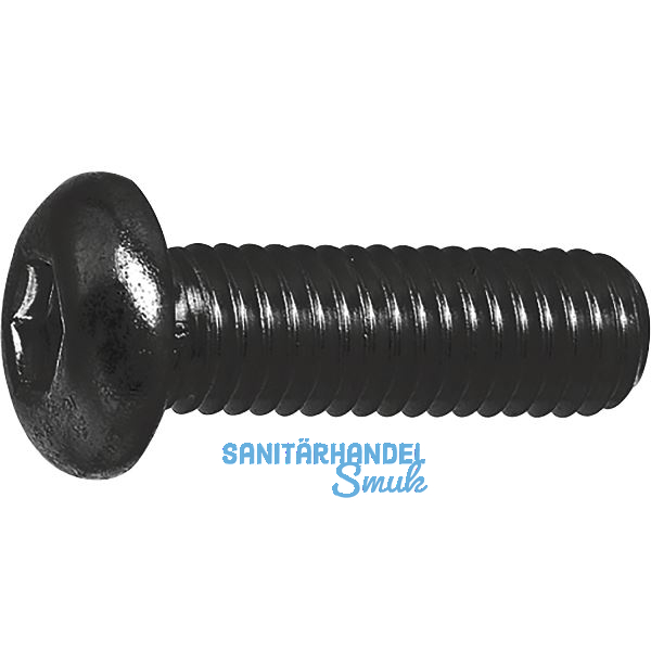 ISO7380-1 M4x10 Edelstahl A4-70-schwarz Linsenschraube mit Innensechskant