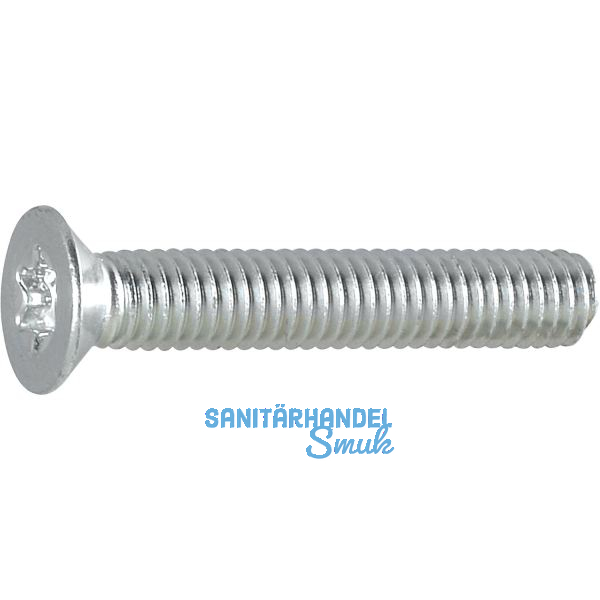 DIN965A 04.8 M 6x 10 TX30 verzinkt Senkschraube (�hnl.ISO14581)