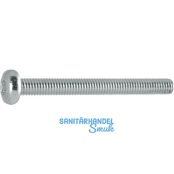 ISO14583 4.8 M 4x45 Torx 20 verzinkt Linsenschraube (DIN7985A)