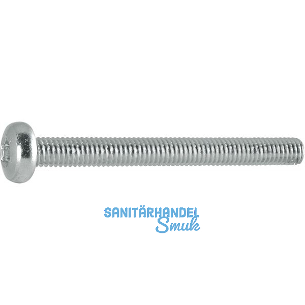 ISO14583 4.8 M 5x40 Torx 25 verzinkt Linsenschraube (DIN7985A)