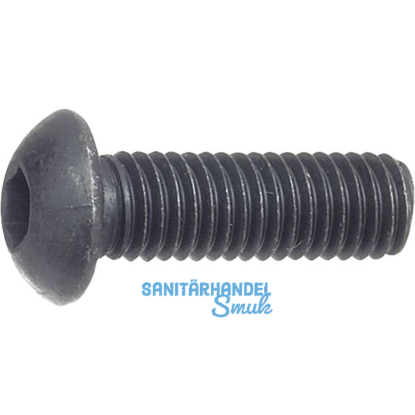 ISO7380-1 010.9 M 3x16 blank Linsenschraube mit Innensechskant