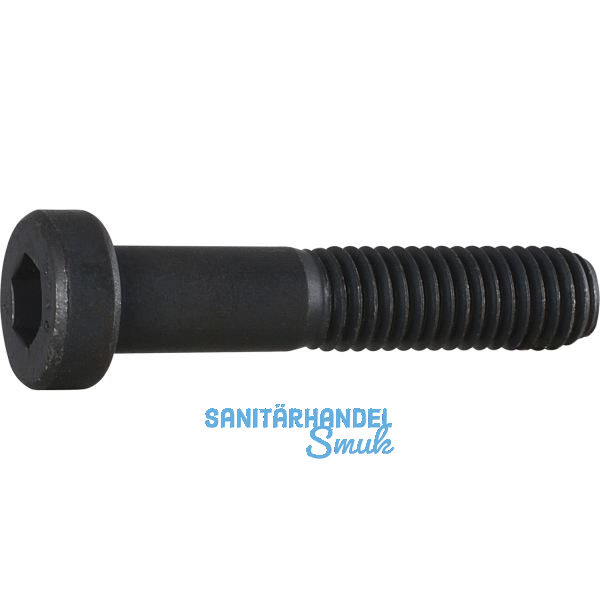 DIN6912 08.8 M 6x 12 blank Zylinderschraube niedriger Kopf und Innensechskt.