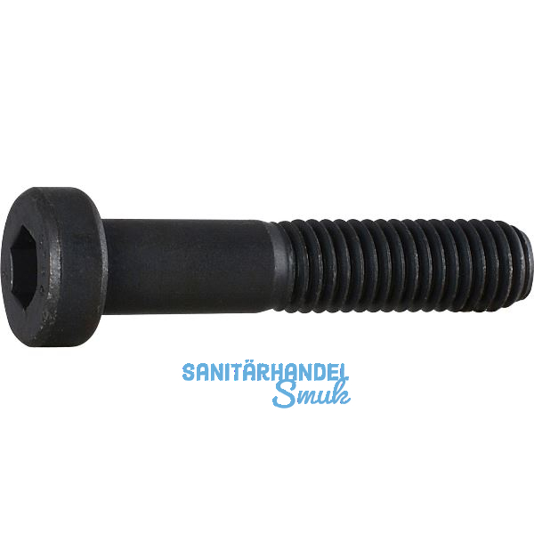 DIN6912 08.8 M 6x 35 blank Zylinderschraube niedriger Kopf und Innensechskt.