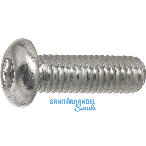 ~ISO7380 08.8 M 5x 6 Torx 25 verzinkt Linsenschraube