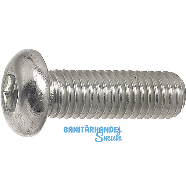 ~ISO7380 08.8 M 6x 12 Torx 30 verzinkt Linsenschraube