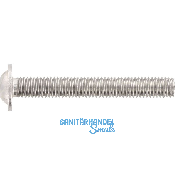 ~ISO7380-2 08.8 M 6x 25 verzinkt Linsenschraube mit Flansch TX30