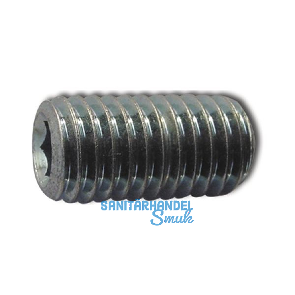 ISO4029/DIN916 45H M 5x 8 blank Gewindestift mit Ringschneide und Innensechskt.