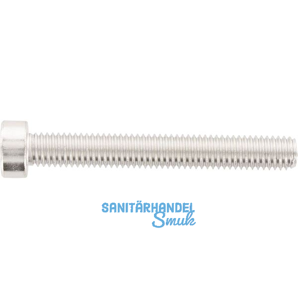 ISO14580 Zylinderschraube M 6 x 45 TX30 Edelstahl A2 ISR (DIN7984)