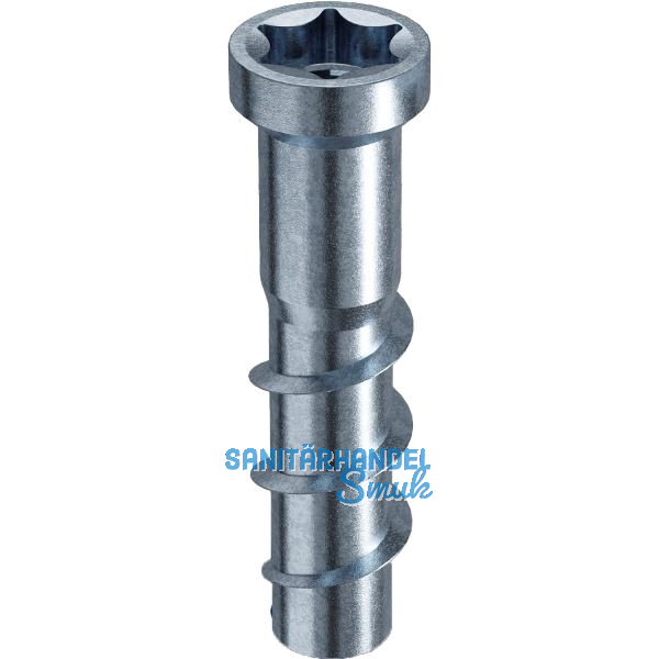 RAMPA TYP TSM M 8 x40 AD:12,5 verzinkt