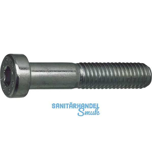 DIN7984 010.9 M12x 20 blank Zylinderschraube niedriger Kopf, Innensechskant