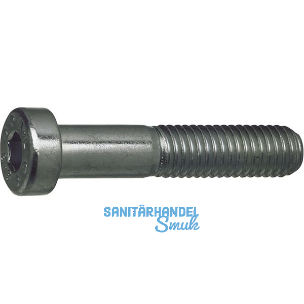 DIN7984 010.9 M 5x 10 blank Zylinderschraube niedriger Kopf, Innensechskant