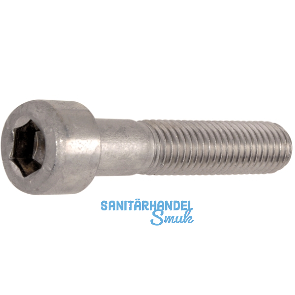 ISO4762 12.9 M 6x 25 Zinklamellen besch. Zylinderschr. Innensechsk. (DIN912)