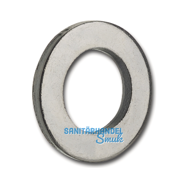 DIN1440 Dm 6 blank Scheibe