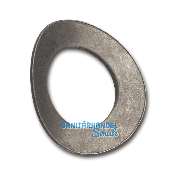 DIN137A M 6 blank Federscheibe gew�lbt