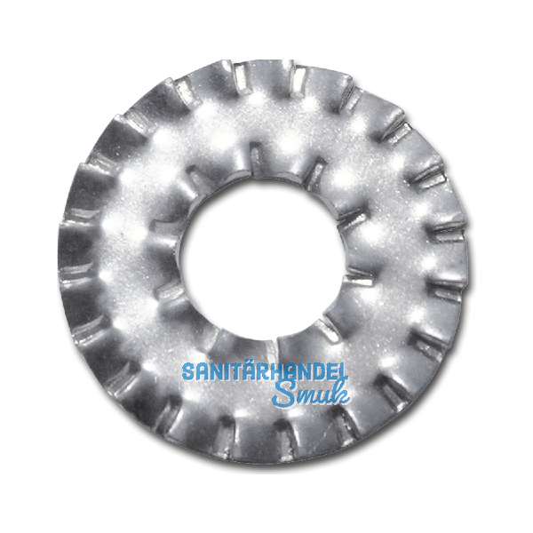 DIN6798A M10 verzinkt F�cherscheibe DD doppelte Zahnung