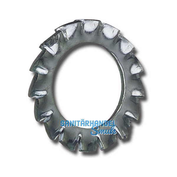 DIN6798A M 6 blank F�cherscheibe aussengezahnt