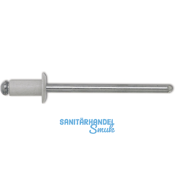 ISO15977 Blindniete Flachrundkopf 4.0x 6 Aluminium mit Stahldorn RAL9010 wei�