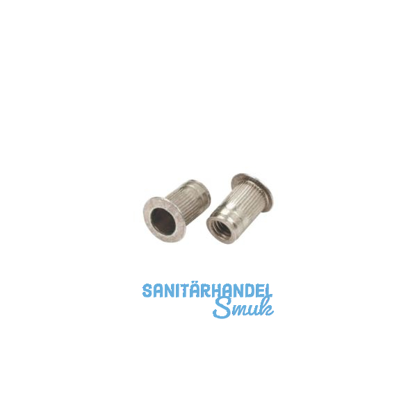 Blindnietmutter Flachkopf ger�ndelt Rundschaft offen M12x23.0 Stahl verzinkt