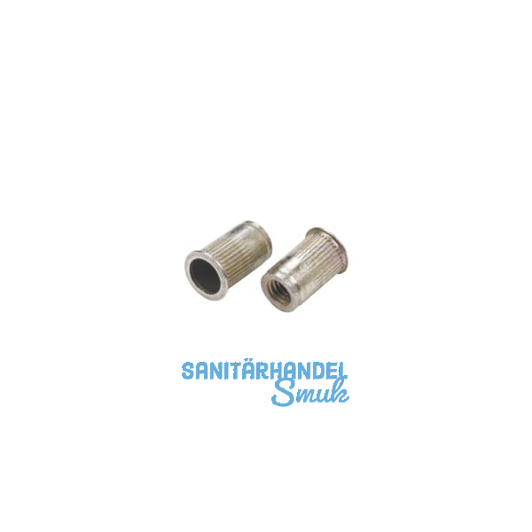 Blindnietmutter Senkkopf ger�ndelt Rundschaft offen M 5x13.5 Stahl verzinkt