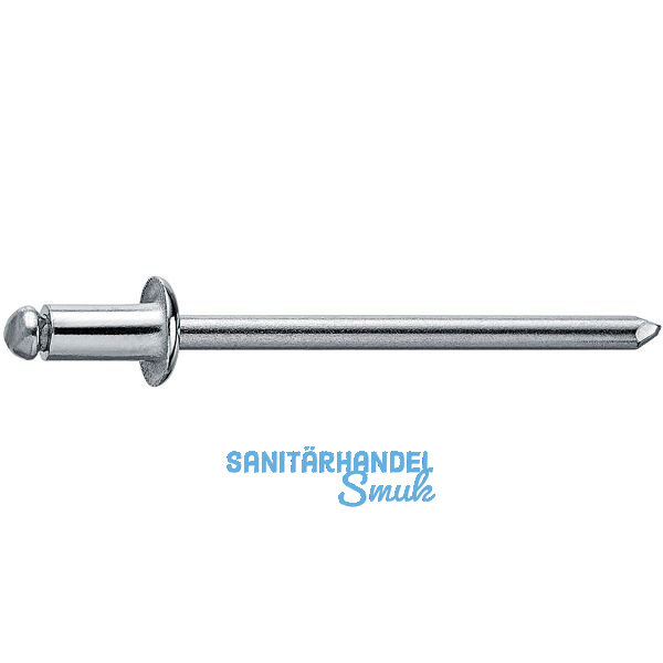Spenglerniete Flachrundkopf 3.2x 6 Monel mit Edelstahldorn
