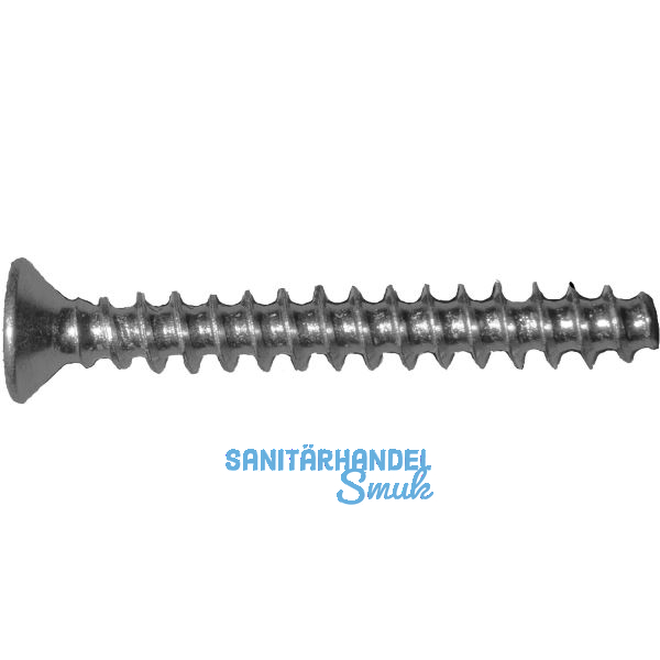 Steckdosen und Ger�teschraube 3.2x 15 verzinkt-blau