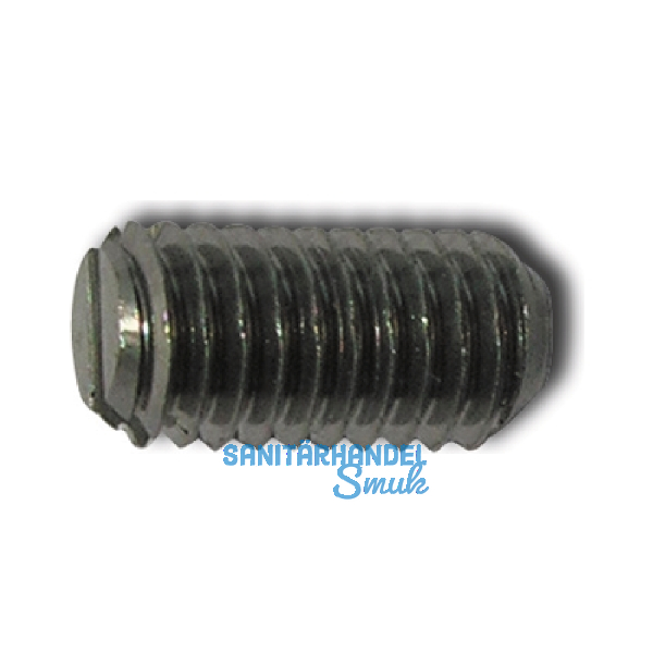 ISO4766 14H M 6x 12 blank Gewindestift mit Schlitz und Kegelkuppe (DIN551)