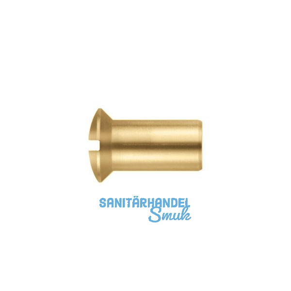 H�lsenmutter Linsensenkkopf M 5x 20 Messing blank mit Schlitz