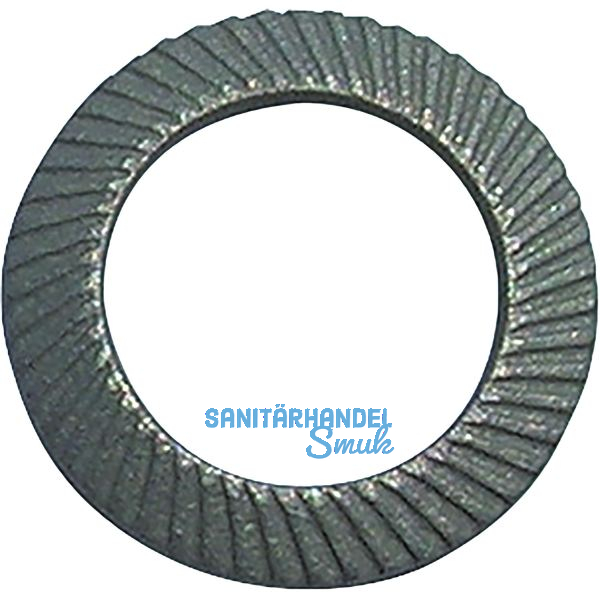 SCHNORR Sicherungsscheibe "S" M18 Federstahl mechanisch verzinkt