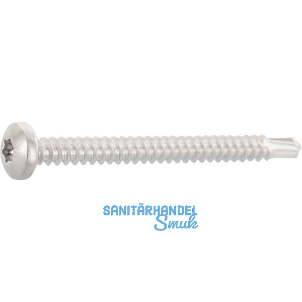 DIN7504N 4.8x 38 Torx25 Edelstahl A2 Linsen-Bohrschraube