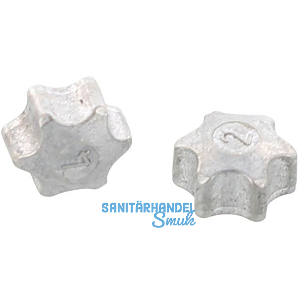 Einschlagstern f�r Innensechsrundantrieb TX30