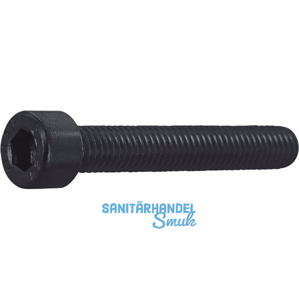 ISO4762 M 4x 25 Edelstahl A4 Zylinderschraube mit Innensechskant schwarz