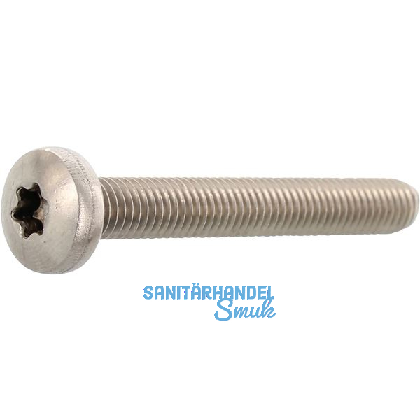 ISO14583 M 4x25 Torx 20 Edelstahl A4 Linsenschraube / boltcoat� 1281